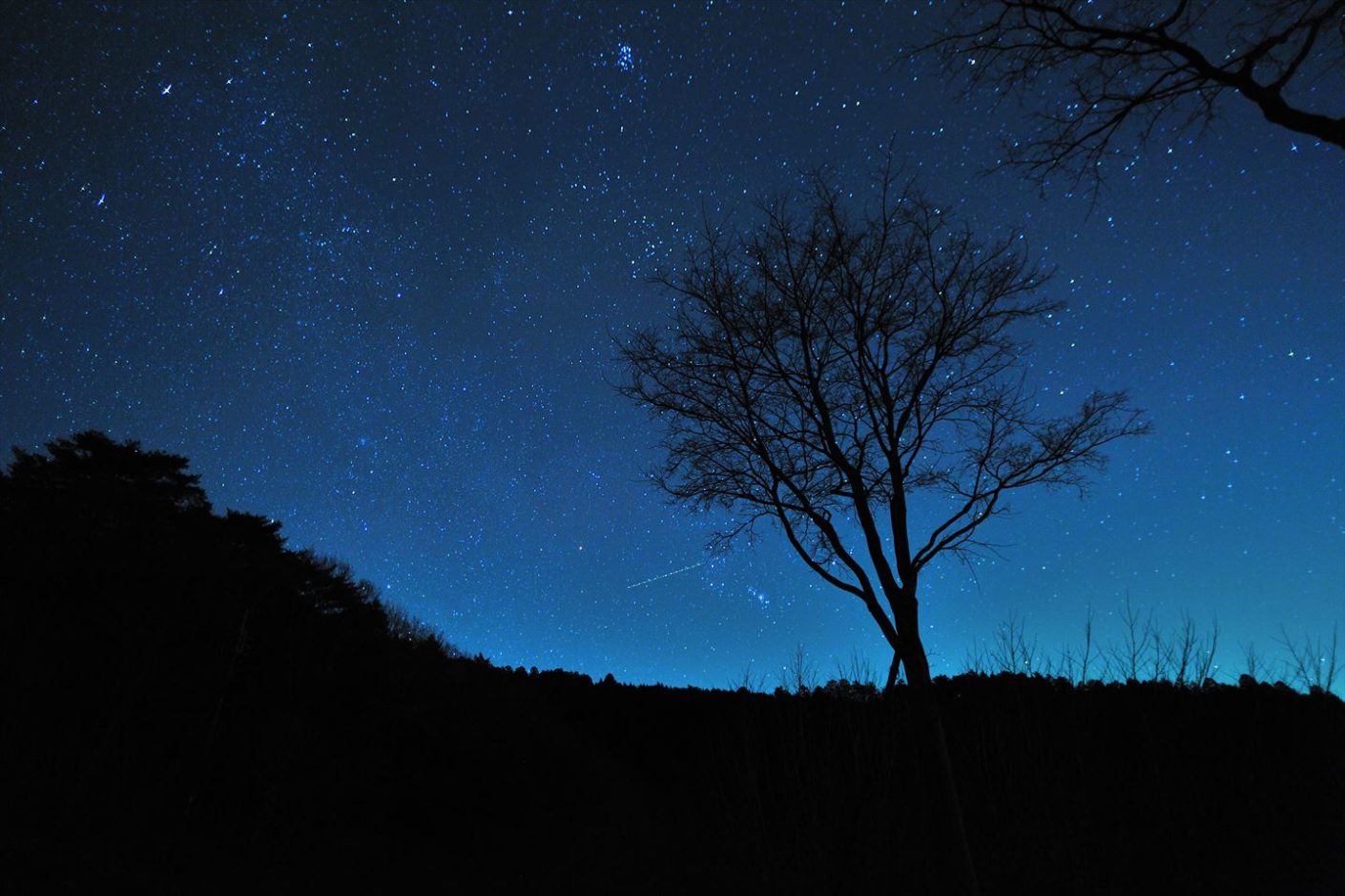 「星空レンズレビュー」星空撮影に適したレンズ：シグマ 20mm F1.8 EX DG ASPHERICAL RF | ニコカメラ