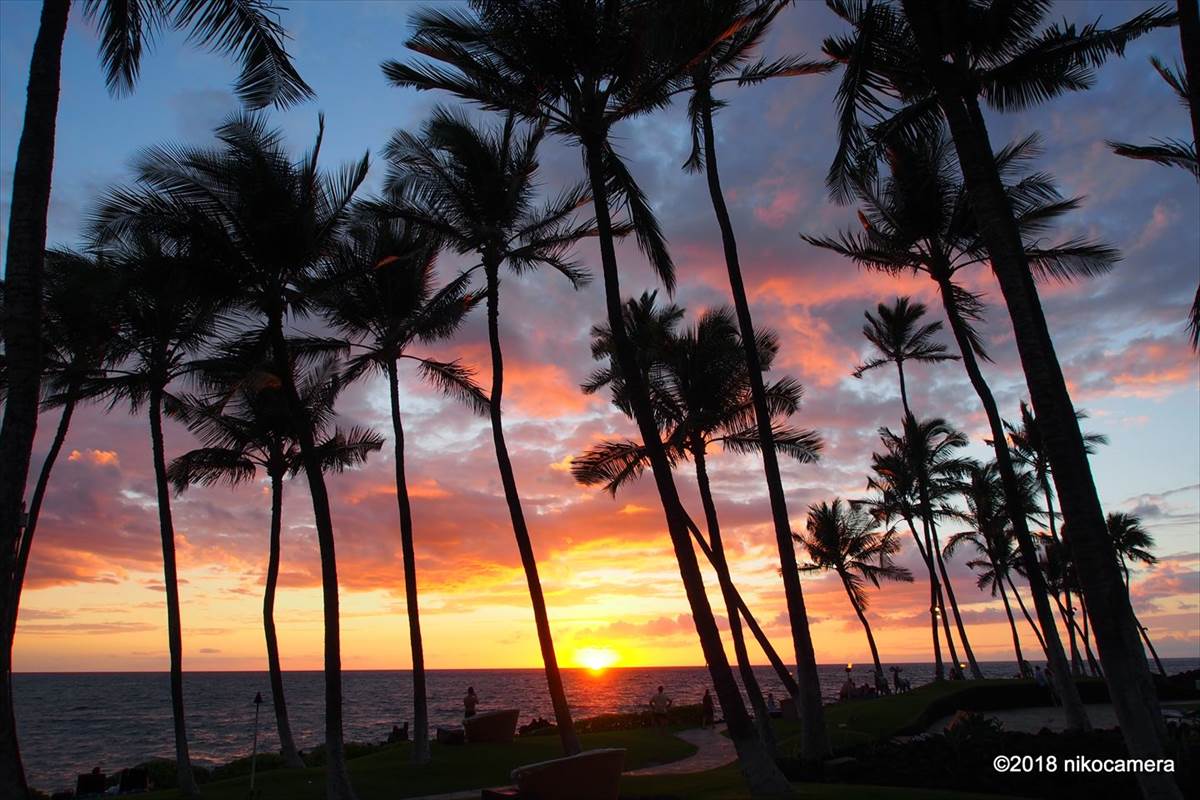 夕日と星空を巡るハワイ旅行 1日目 ハワイ島ワイコロアで見たリゾートの夕日と星空 ニコカメラ