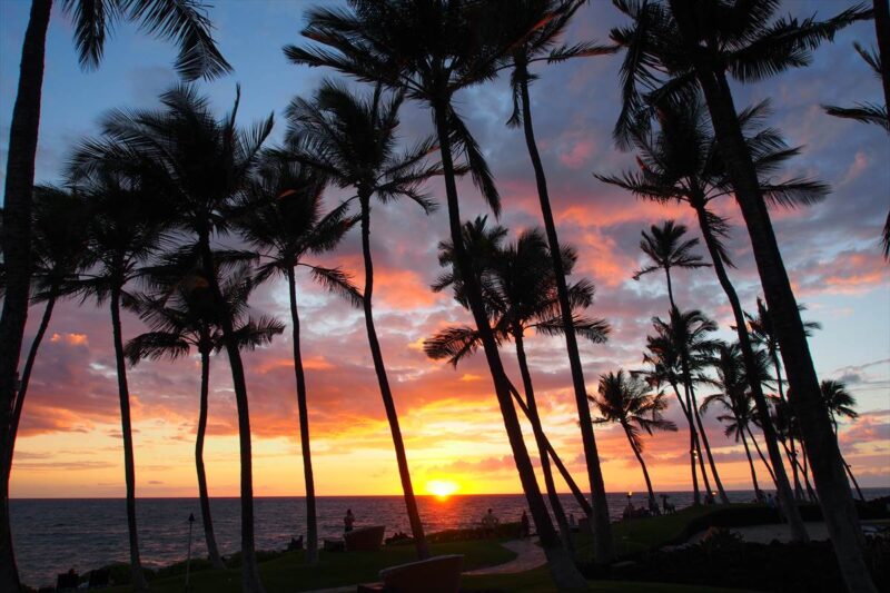 ハワイ島で行ってみたいサンセット撮影スポット4選を紹介 ニコカメラ