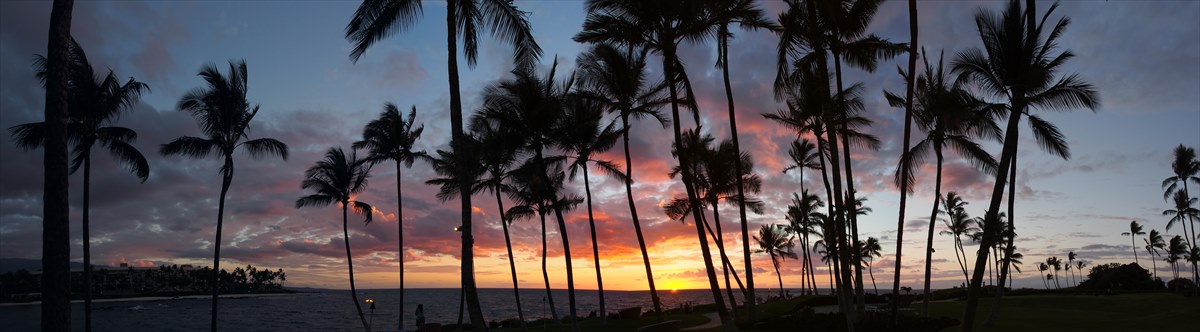 ハワイ島で行ってみたいサンセット撮影スポット4選を紹介 ニコカメラ