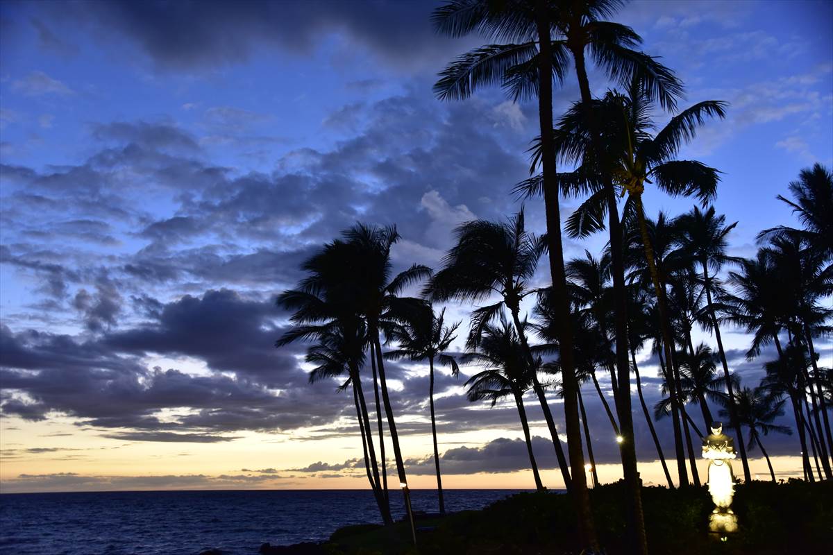ハワイ島で行ってみたいサンセット撮影スポット4選を紹介 ニコカメラ
