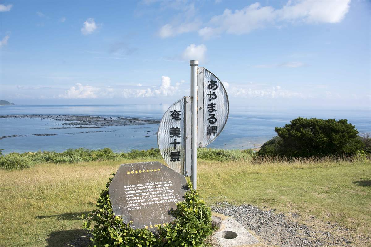 あやまる岬展望台は奄美大島の代表的な観光スポット ｰ 特徴や見える風景を紹介 | ニコカメラ