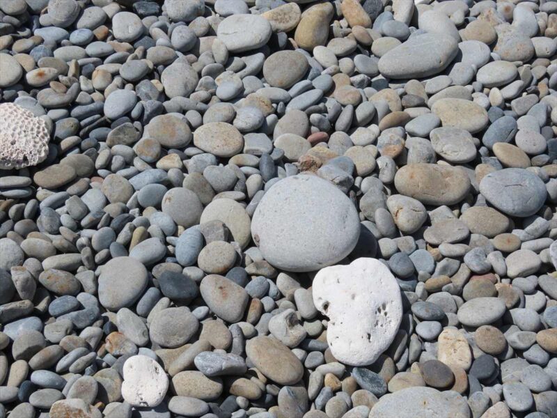 ホノホシ海岸に打ち上った丸い石
