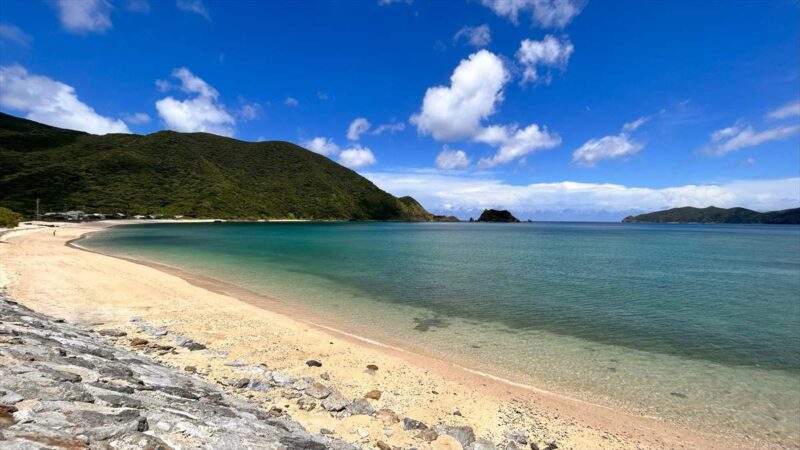 奄美大島・屋鈍海岸の全景。白砂のビーチと緑豊かな山々、透明度の高い海が広がる風景。