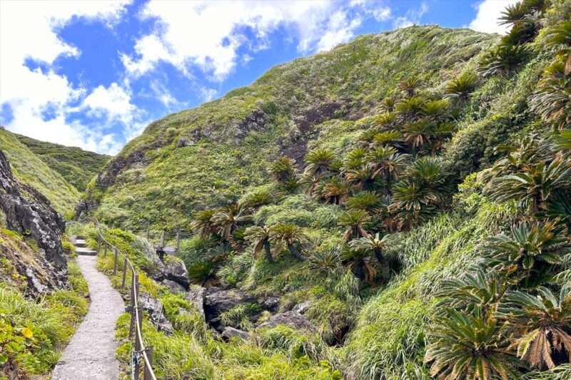 丘に囲まれた小道の風景