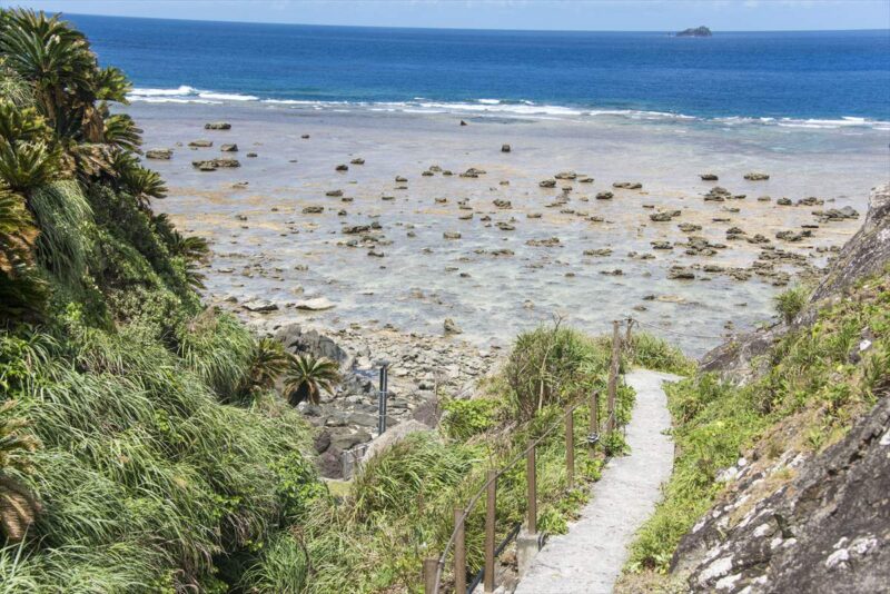 振り返って見た海岸の景色
