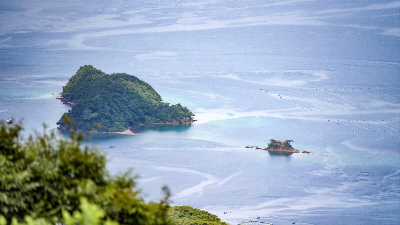 大島海峡に浮かぶ小さな無人島が見える