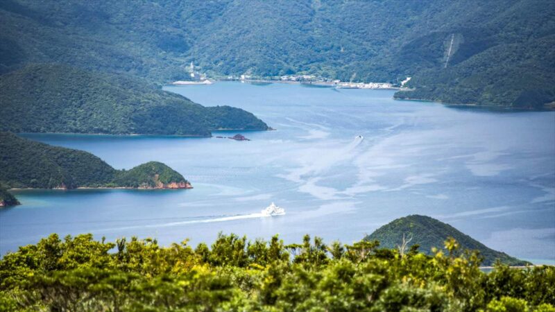 瀬戸内町と加計呂麻島を往来するフェリーが見えた